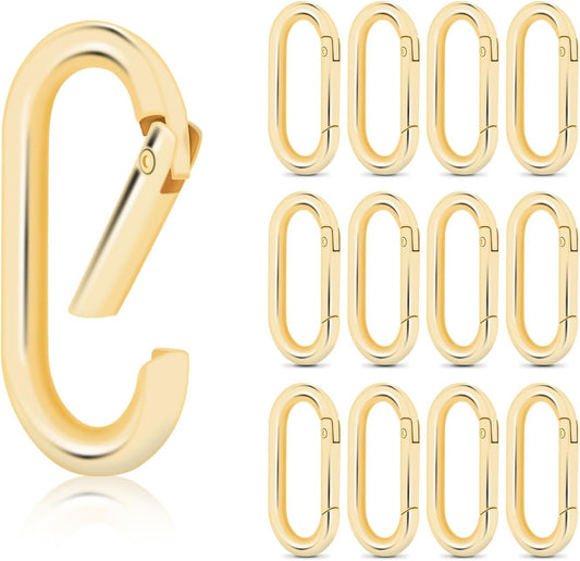 6pcs Gold Carabiner Clips + 10pcs Gold Spring Keychain Clips for Key Chain Purse Starp Dog Tag V1258-DP02-F-61