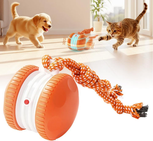 Interactive Dog Toys for Small Large Dogs,Moving Dog Toys to Keep Them Busy,Automatic Electric Rolling Ball V1258-DP02-F-754