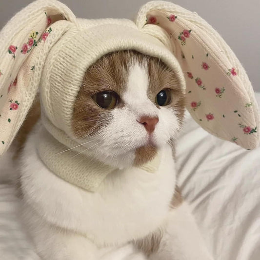 Small Dogs Cats Knitted Snood Cute Hat with Rabbit Ears for Winter Warm, Pet Scarf Headwear Accessory for V1258-DP02-F-907