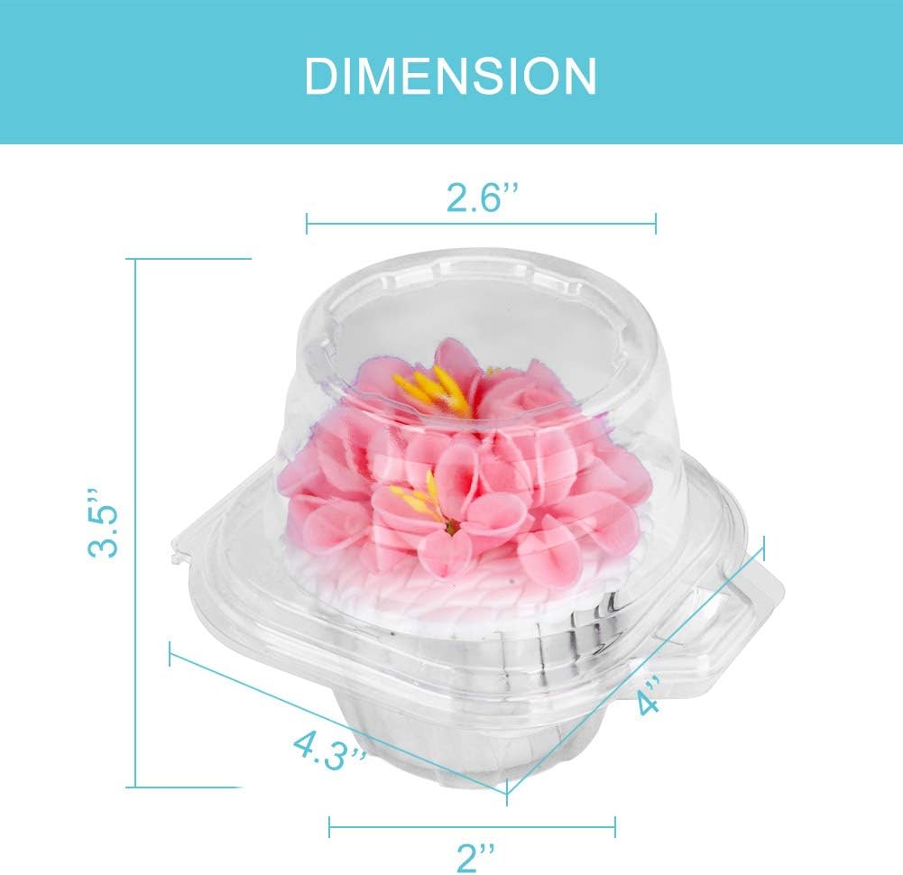 50 Pcs Cupcake Boxes Plastic Individual Cupcake Containers Single Cupcake Carrier with Connected Airtight V1258-DP02-WO-1093
