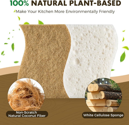 12 Pack Natural Biodegradable Kitchen Non Scratch Sponges,Compostable Plant Based Coconut Cellulose V1258-DP02-WO-1111