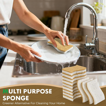 12 Pack Natural Biodegradable Kitchen Non Scratch Sponges,Compostable Plant Based Coconut Cellulose V1258-DP02-WO-1111