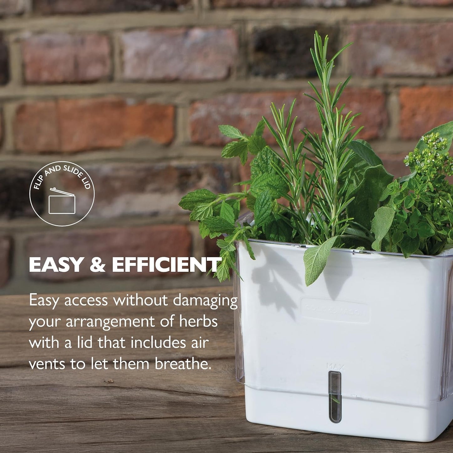 Fresh Herb Keeper - Acrylic Storage Container for Refrigerator - Storage for Herbs & Vegetables for Fridge - V1258-DP02-WO-118