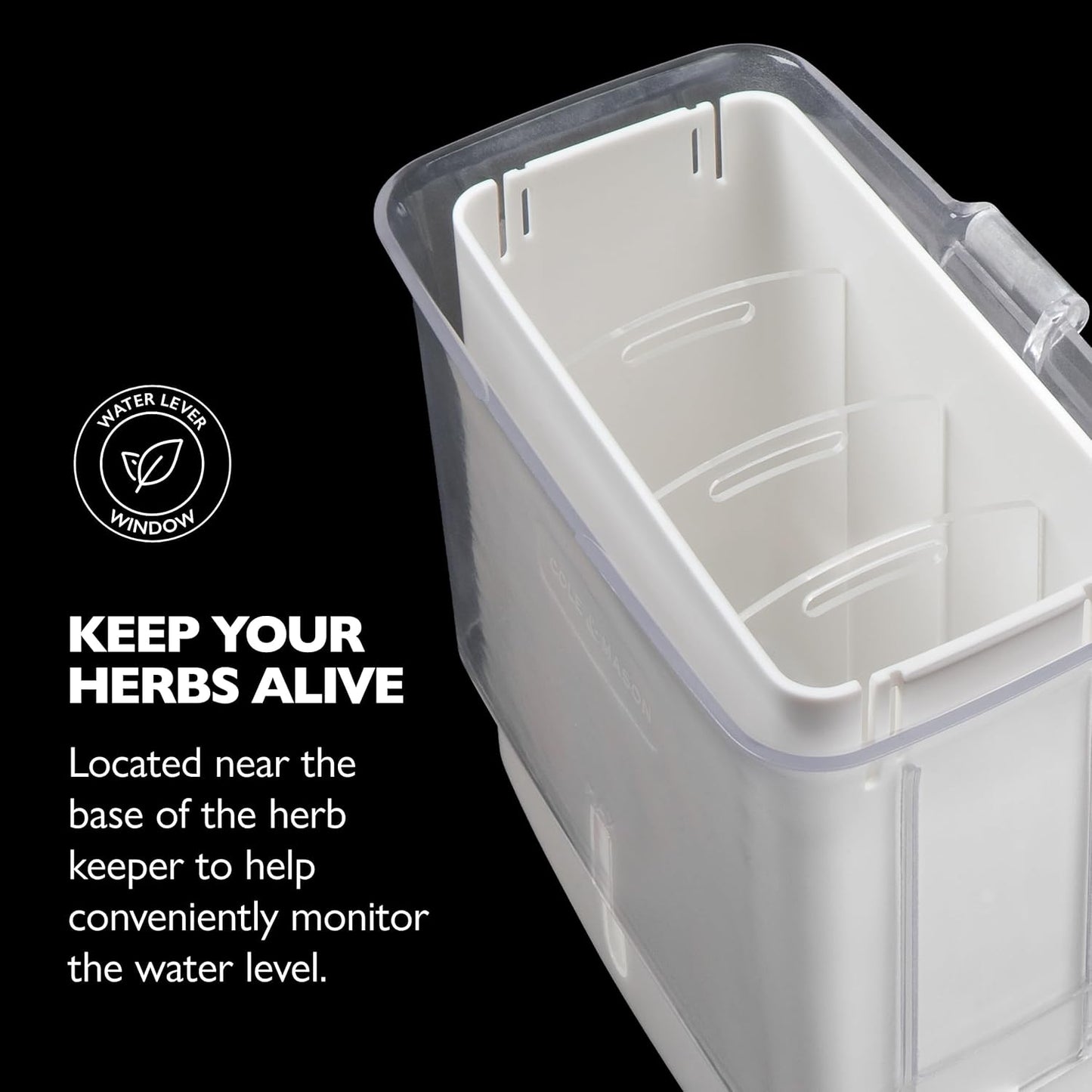 Fresh Herb Keeper - Acrylic Storage Container for Refrigerator - Storage for Herbs & Vegetables for Fridge - V1258-DP02-WO-118