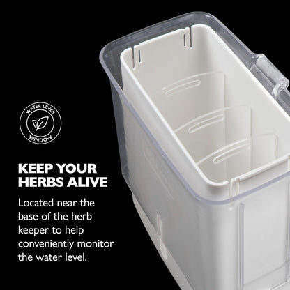 Fresh Herb Keeper - Acrylic Storage Container for Refrigerator - Storage for Herbs & Vegetables for Fridge - V1258-DP02-WO-118