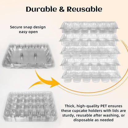 24 Count x 10 Sets Plastic Cupcake Containers, Durable and BPA-Free Cupcake Holder with Lid for Easy V1258-DP02-WO-142