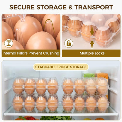 60 PCS 12 Count Plastic Egg Cartons, with 60PCS Date Labels, Clear Reusable Egg Containers Holds for Fresh V1258-DP02-WO-154