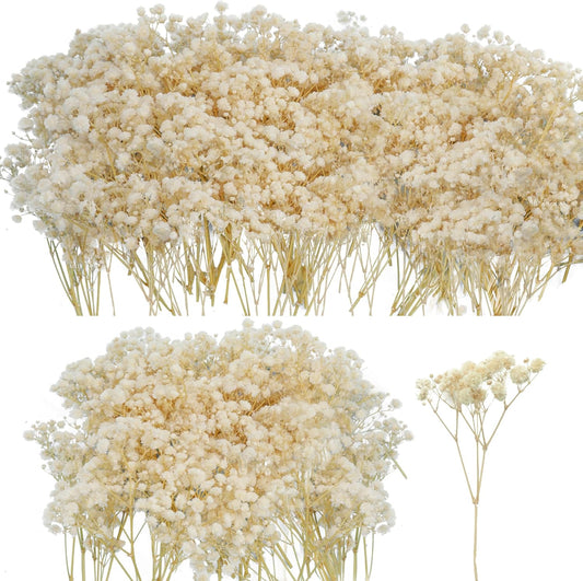 50Pcs Mini Dried Baby's Breath Flowers, 6'' Natural Ivory White Flowers for Resin Art Craft DIY, 3000+ V1258-DP02-WO-533