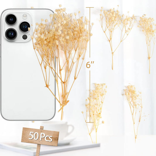 50Pcs Mini Dried Baby's Breath Flowers, 6'' Natural Ivory White Flowers for Resin Art Craft DIY, 3000+ V1258-DP02-WO-533