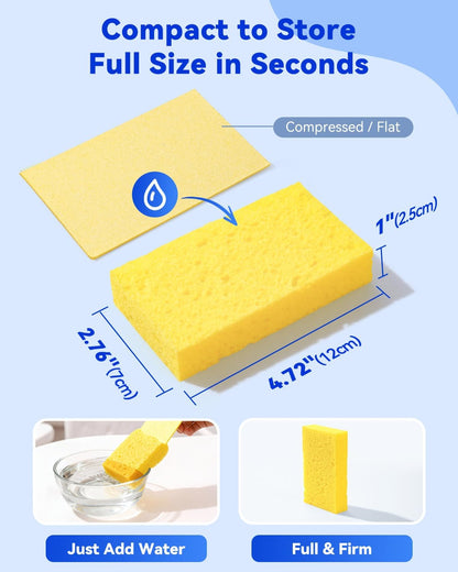 12-Count Cellulose Sponges, Non-Scratch Kitchen Sponges for Dish,Colorful Compressed Dish Scrubber Sponge for V1258-DP02-WO-609