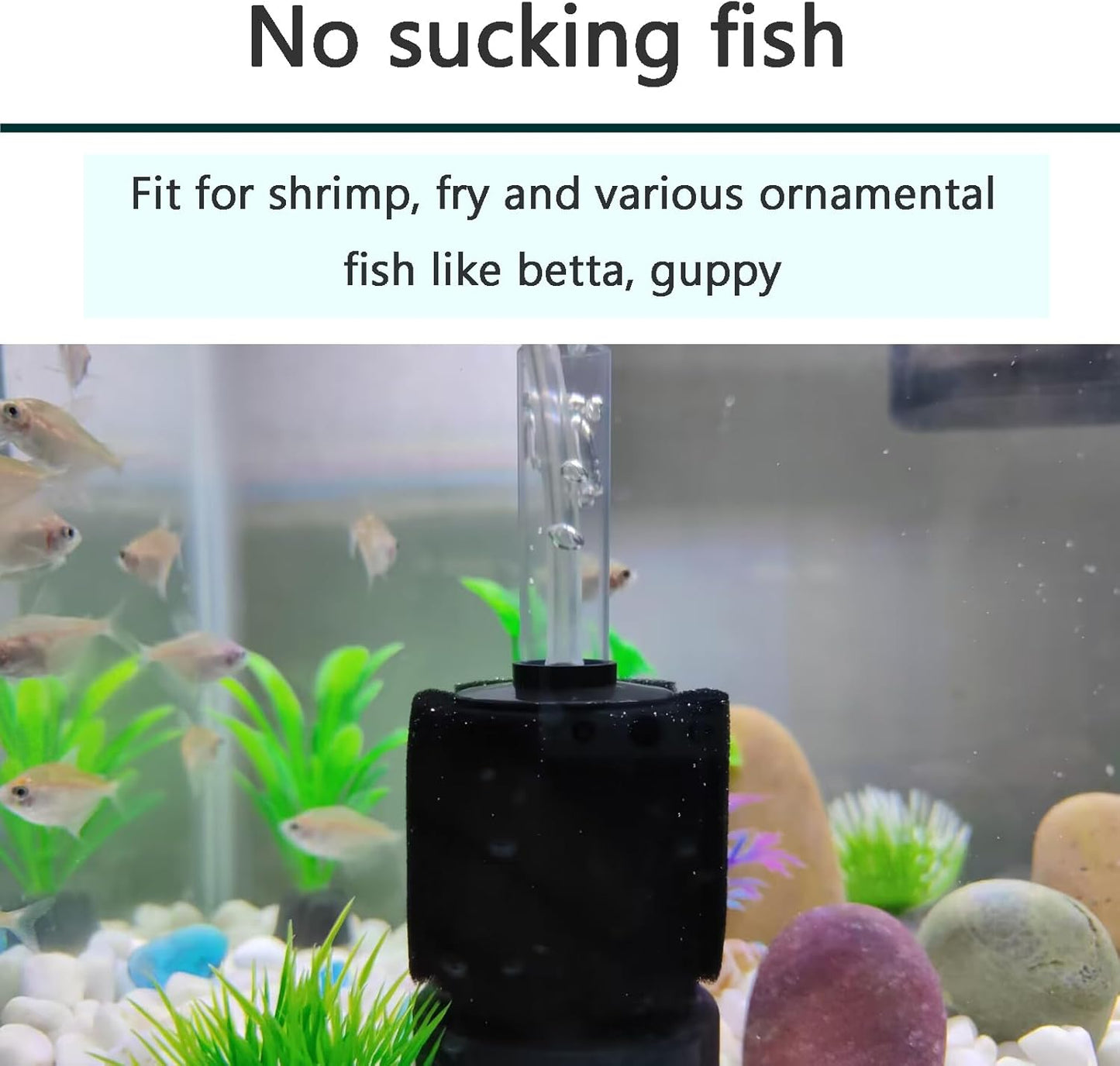 3 Pack Aquarium Bio Sponge Filter Breeding Fry Betta Shrimp Nano Fish Tank (Small up to 10Gal) V1258-DP02-WO-636