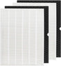 2 + 2 116130 HEPA Replacement Filter H 116130 for Winix 5500-2 Plasmawave Air Purifier and Models AM80 - HEPA V1258-DP02-WO-641