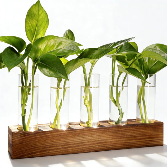 Plant Propagation Station, Plant Terrarium with Wooden Stand, Plants Pots for Hydroponics, Small Birthday V1258-DP02-WO-702