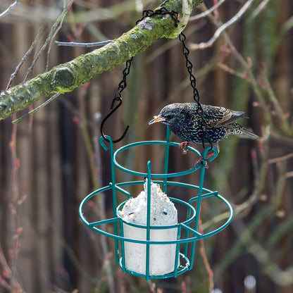 12 Pack 9.5 Inch Hanging Chain for Bird Feeders, Planters, Lanterns, Wind Chimes, Billboards, Chalkboards and V1258-DP02-WO-955