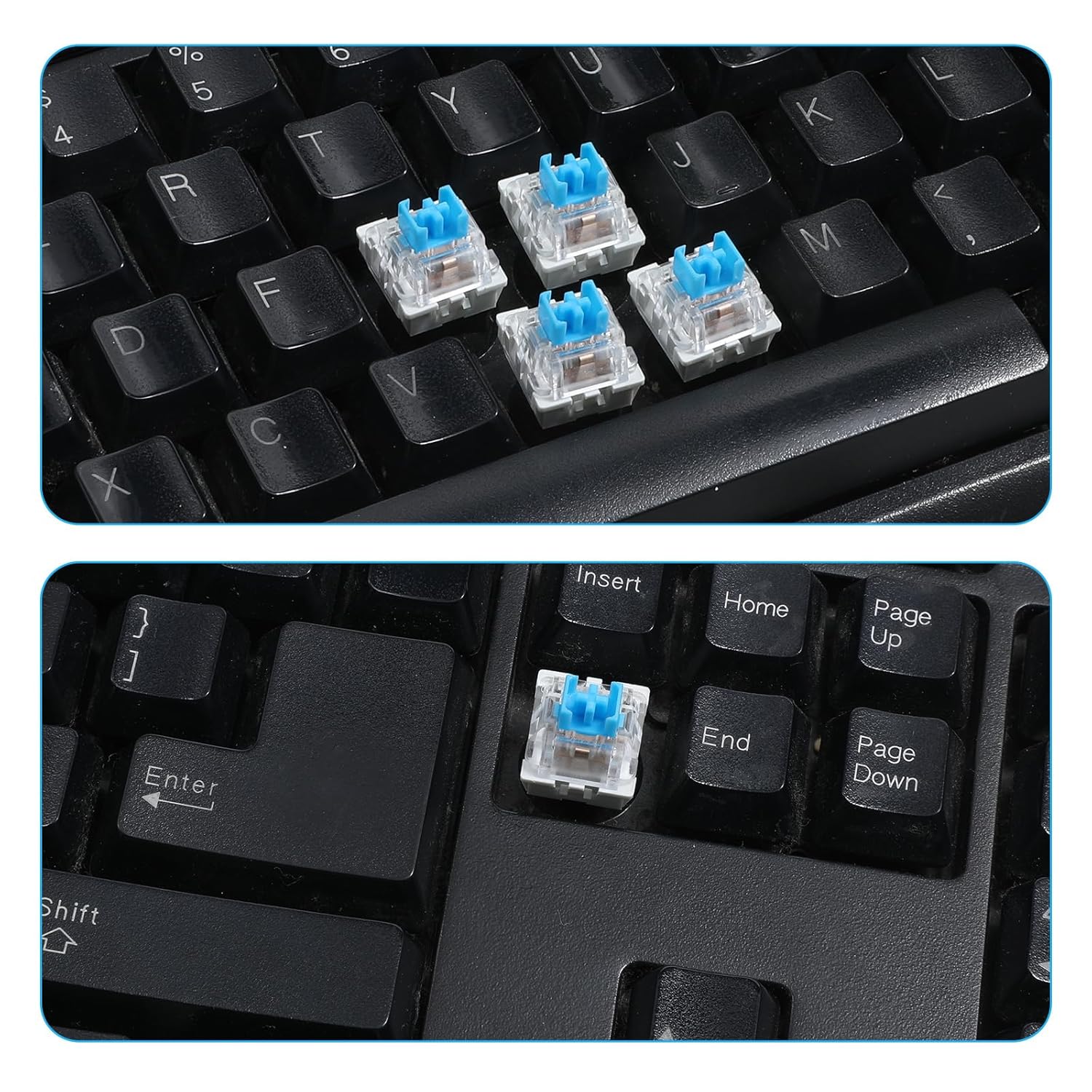 Keyboard Switches, 50 Pcs 3 PIN Blue Keyboard Clicker Replacement Dustproof Mechanical Keyboards Switches for V1258-DP02-WO-979