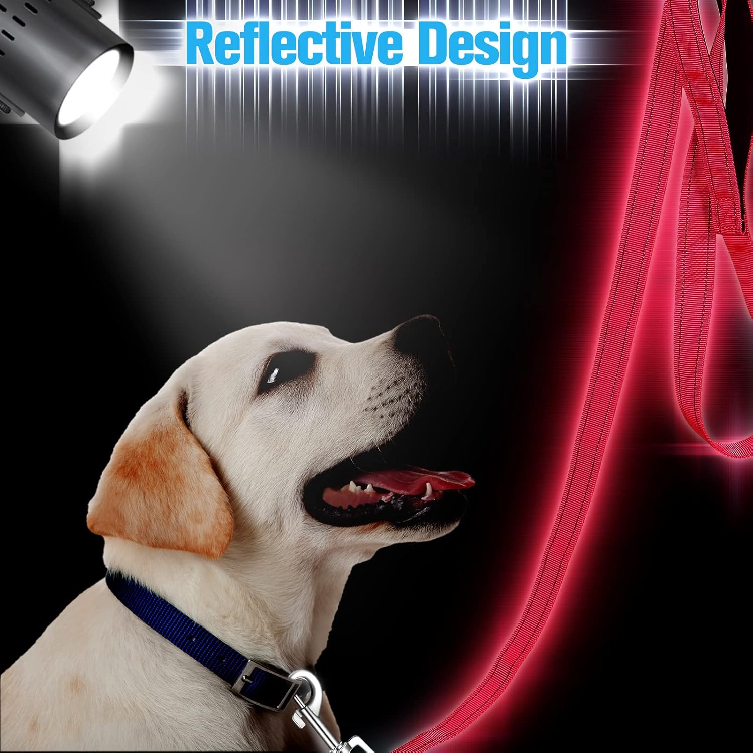 12 Pack Dog Leash Bulk, Double Sided Reflective, Nylon Leashes with Padded Handle for Small, Medium, and V1259-DP01-A-1191