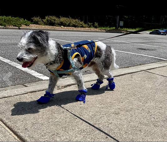 Petluno Antislip, dog boots, paw protection, these comfortable dog boots with soft soles are equipped with V1259-DP01-A-1603
