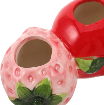 Petluno Ceramic Vase in Strawberry Shape Sturdy Durable Flower Pot for Hydroponic Cuttings Decorative Fruit V1259-DP01-A-1651