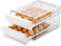 Petluno Egg Container for Fridge, 40 Grid/2 Tier Egg Holder, Fresh Egg Storage Box, Egg Tray and Egg Storage, V1259-DP01-A-1688