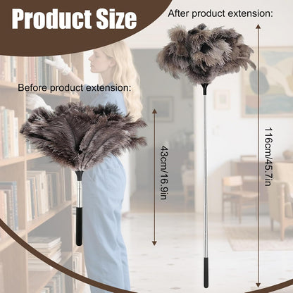 Feather duster, extendable, telescopic cleaning cloth, washable, ostrich feathers, cobweb duster with V1259-DP01-A-1743