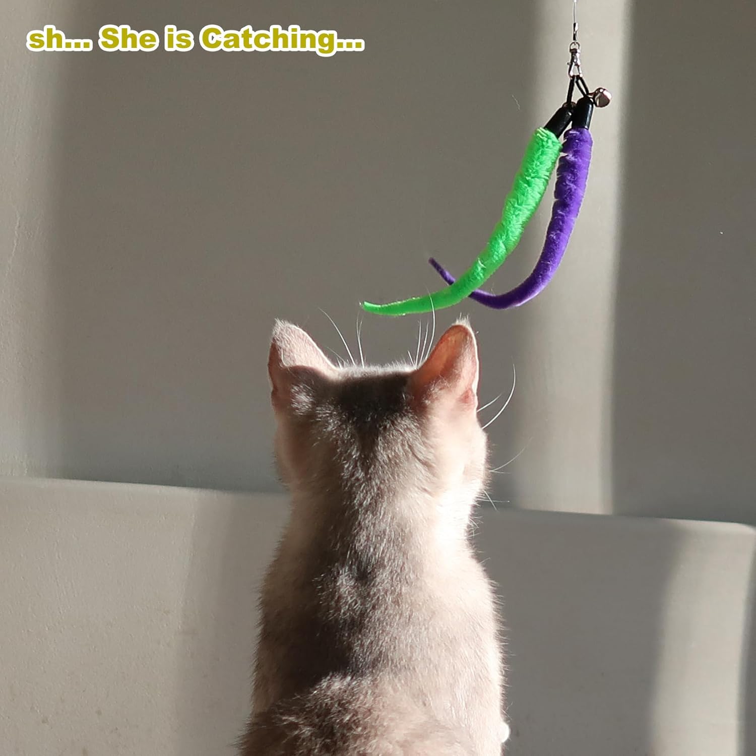 Huidcom Cat Feather Toy Retractable Cat Toys Wand with 2 Wands & 9 Assorted Teaser Refills Interactive V1259-DP01-A-1993