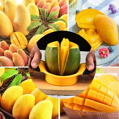 Sturdy Mango Slicer, Pit Remover Tool, Mango Splitter, Fruit Slicer Cutter Pitter, Mango Divider with V1259-DP01-A-2108