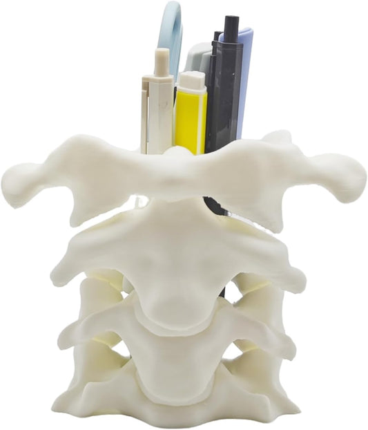 Unique Spine Pen Holder for Desk, Pencil Holder Desk Organizers, Office Supplies Decorations Idea Gift for V1259-DP01-A-2171
