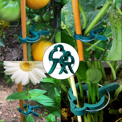 100 Pack Plant Support Clips for Flowers, Vines, Tomatoes - Garden Stem and Stalk Support for Upright Growth V1259-DP01-A-2520