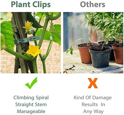 100 Pack Plant Support Clips for Flowers, Vines, Tomatoes - Garden Stem and Stalk Support for Upright Growth V1259-DP01-A-2520