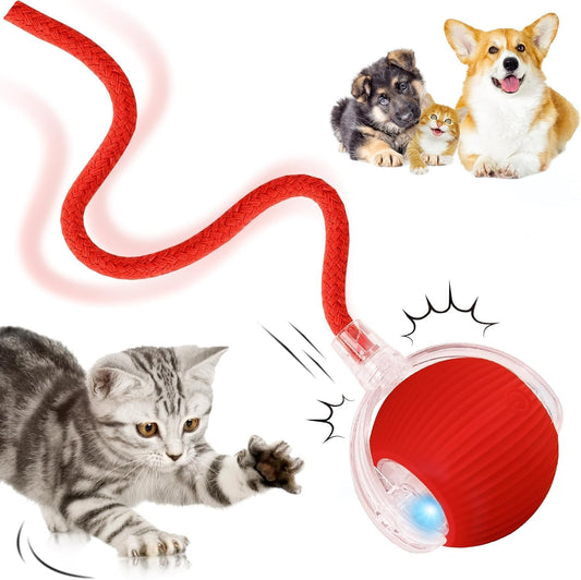 Interactive Rolling Dog Ball, Interactive Cat to-ys Rolling Ball Chewie Viral Dog Ball, Smart Automatic V1259-DP01-A-2689