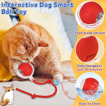 Interactive Rolling Dog Ball, Interactive Cat to-ys Rolling Ball Chewie Viral Dog Ball, Smart Automatic V1259-DP01-A-2689