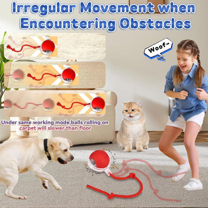 Interactive Rolling Dog Ball, Interactive Cat to-ys Rolling Ball Chewie Viral Dog Ball, Smart Automatic V1259-DP01-A-2689