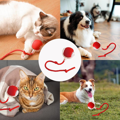 Interactive Rolling Dog Ball, Interactive Cat to-ys Rolling Ball Chewie Viral Dog Ball, Smart Automatic V1259-DP01-A-2689
