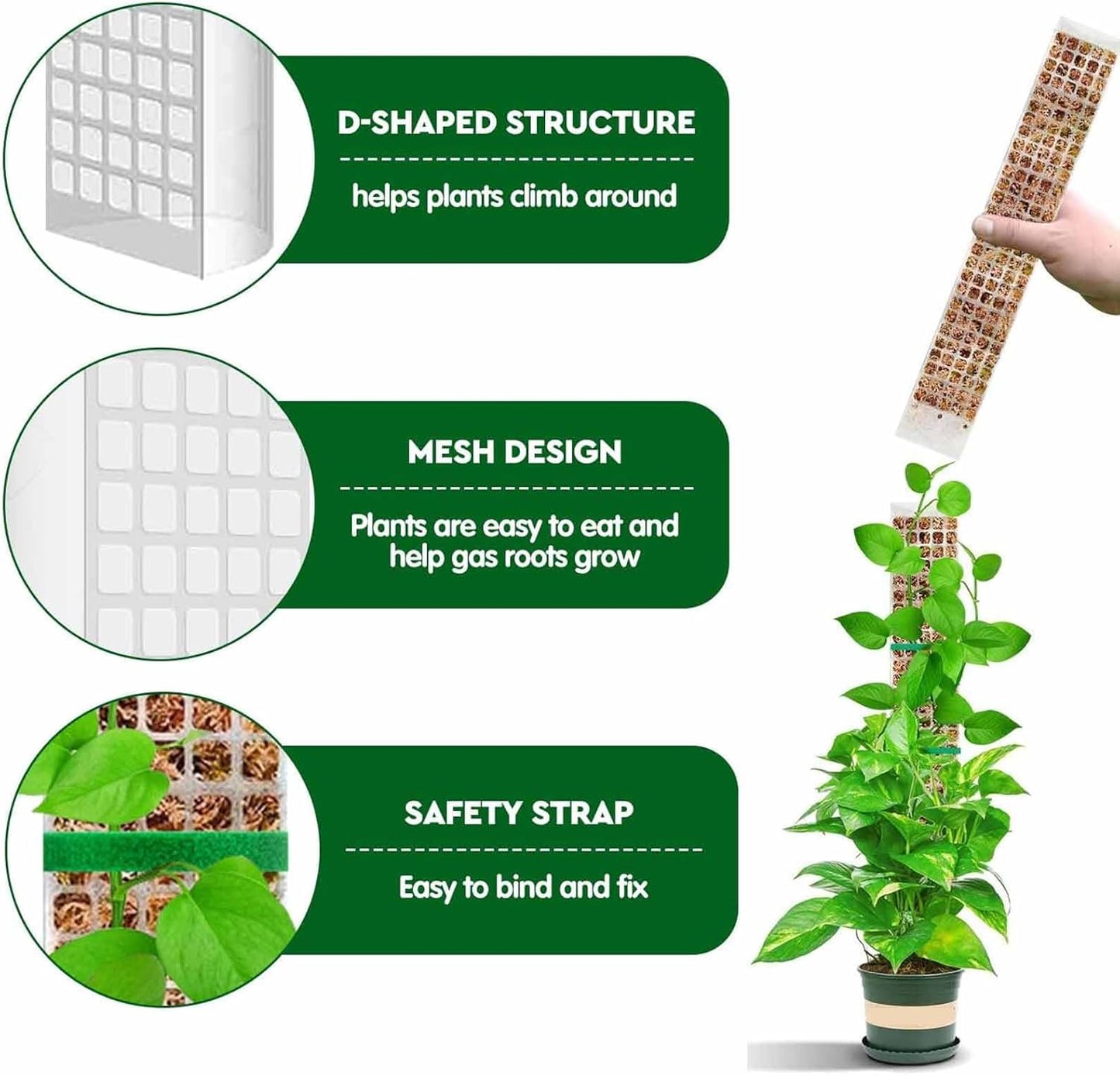 6 Pcs 24 Inch Plastic Moss Pole for Plants Monstera, Stackable for Indoor Work with Sphagnum Support V1259-DP01-A-2706