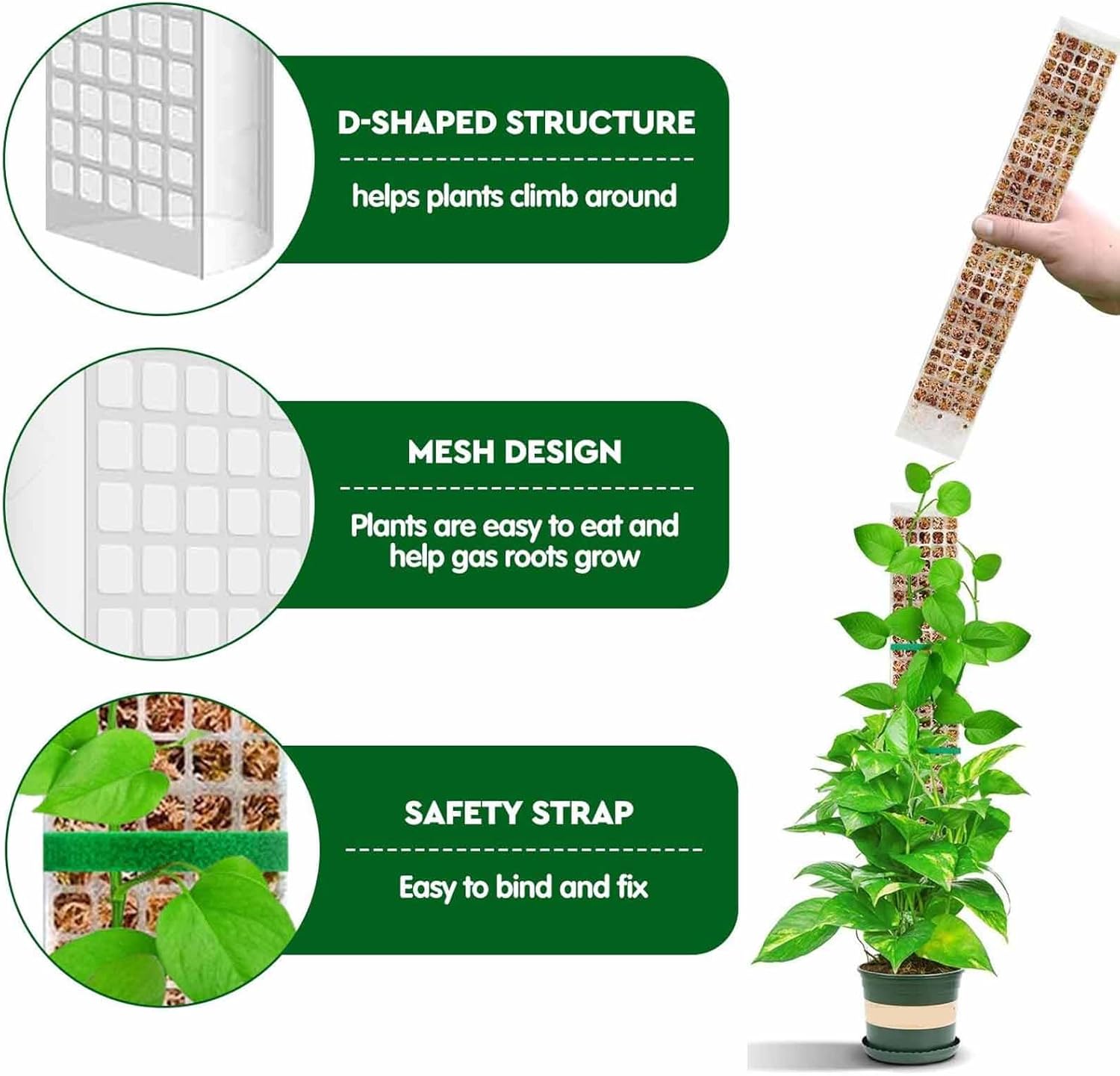 6 Pcs 24 Inch Plastic Moss Pole for Plants Monstera, Stackable for Indoor Work with Sphagnum Support V1259-DP01-A-2706