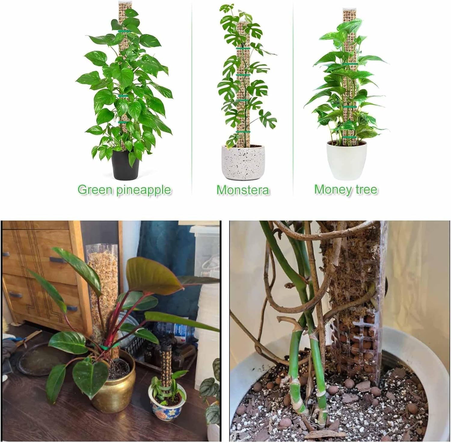 6 Pcs 24 Inch Plastic Moss Pole for Plants Monstera, Stackable for Indoor Work with Sphagnum Support V1259-DP01-A-2706