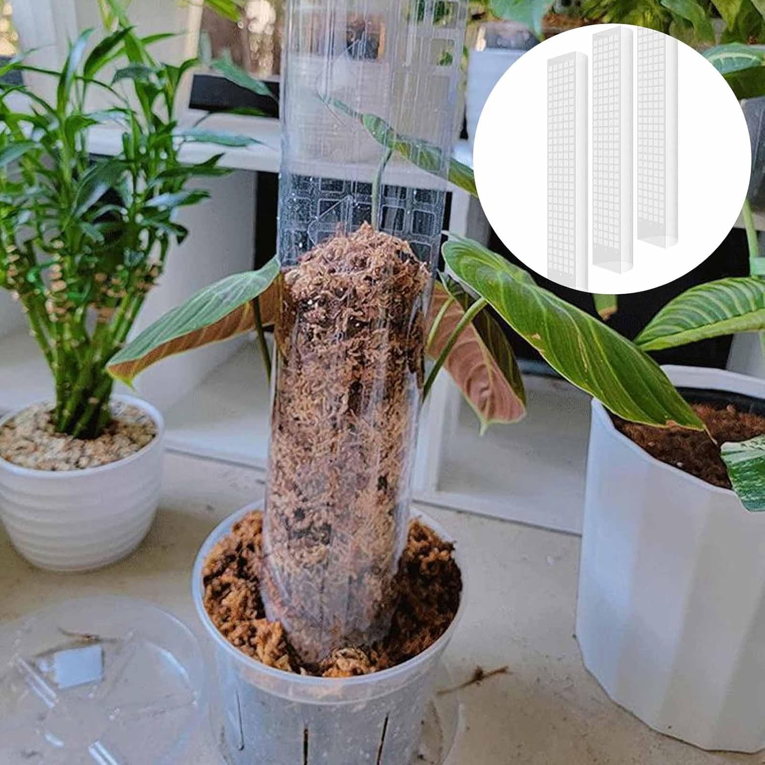6 Pcs 24 Inch Plastic Moss Pole for Plants Monstera, Stackable for Indoor Work with Sphagnum Support V1259-DP01-A-2706