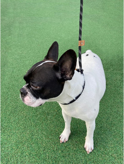 5 FT Slip Lead Dog Leash, Heavy Duty Rope Leash for Small Medium Large Dogs, No Pull Training Lead with V1259-DP01-A-3004