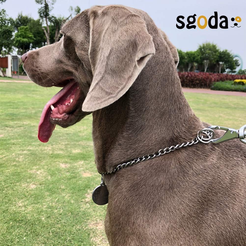 Chain Dog Training Choke Collar, 304 Stainless Steel, Total Length 20 in, 2.5 mm V1259-DP01-A-3106