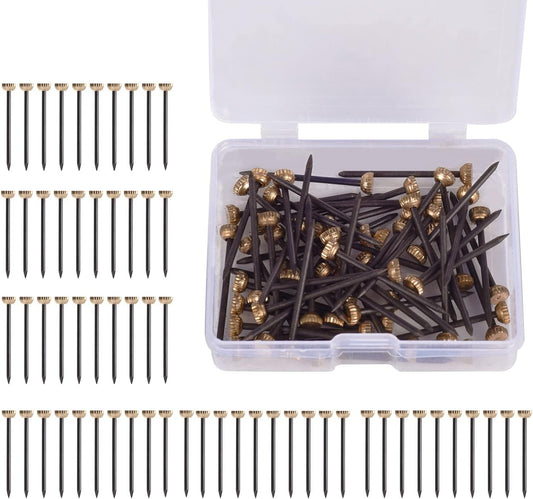 60Pcs Picture Hanging Nails 30 Lbs Brass Head Nails for Hanging, Picture Hanger Pins, Heavy Duty Nail Hook V1259-DP01-A-3141