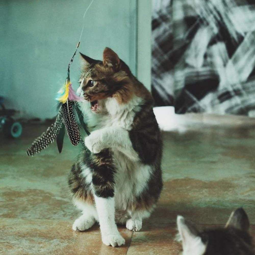 Feather Cat Toy Refill: Fits Da Bird-Handmade Natural Guinea Feather- by V1259-DP01-A-3217