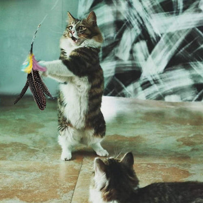 Feather Cat Toy Refill: Fits Da Bird-Handmade Natural Guinea Feather- by V1259-DP01-A-3217