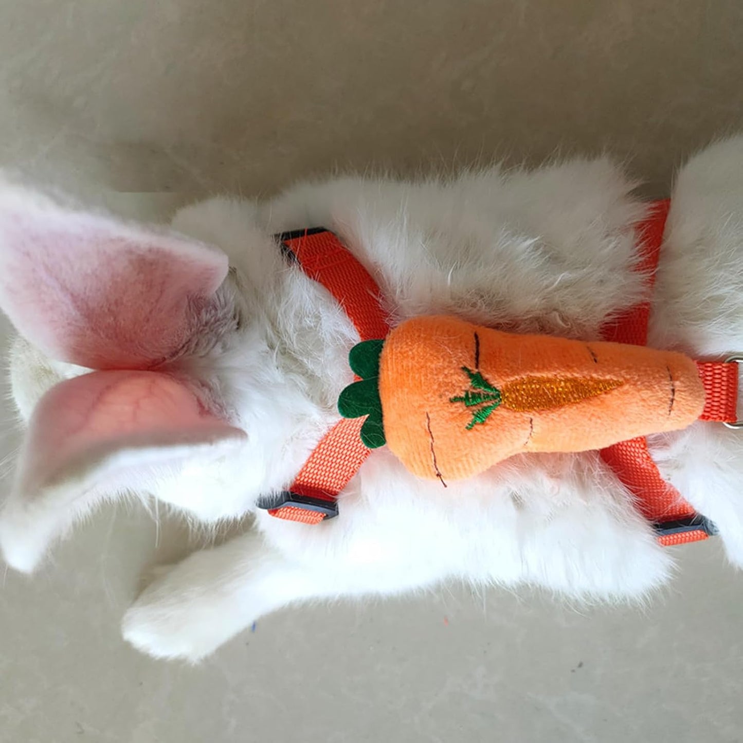 2pcs Rabbit Harness and Leash Set Cute Carrot and Strawberry Trim, Adjustable,for Rabbits, Cats Small Pets V1259-DP01-A-3320