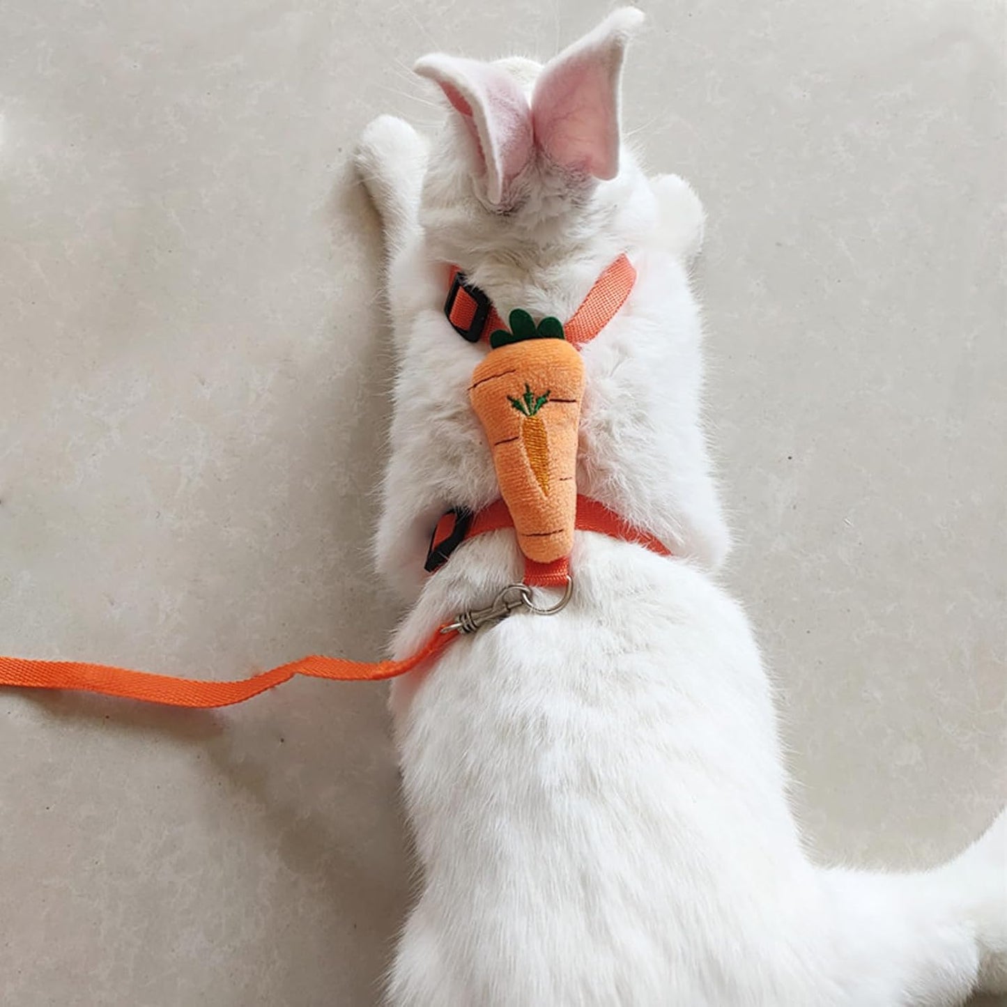 2pcs Rabbit Harness and Leash Set Cute Carrot and Strawberry Trim, Adjustable,for Rabbits, Cats Small Pets V1259-DP01-A-3320