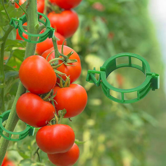Tomato Clips for Climbing Plants, 300 Pcs Reusable Plastic Tomato Plant Clips for Climbing Plants,Tomato V1259-DP01-A-3395