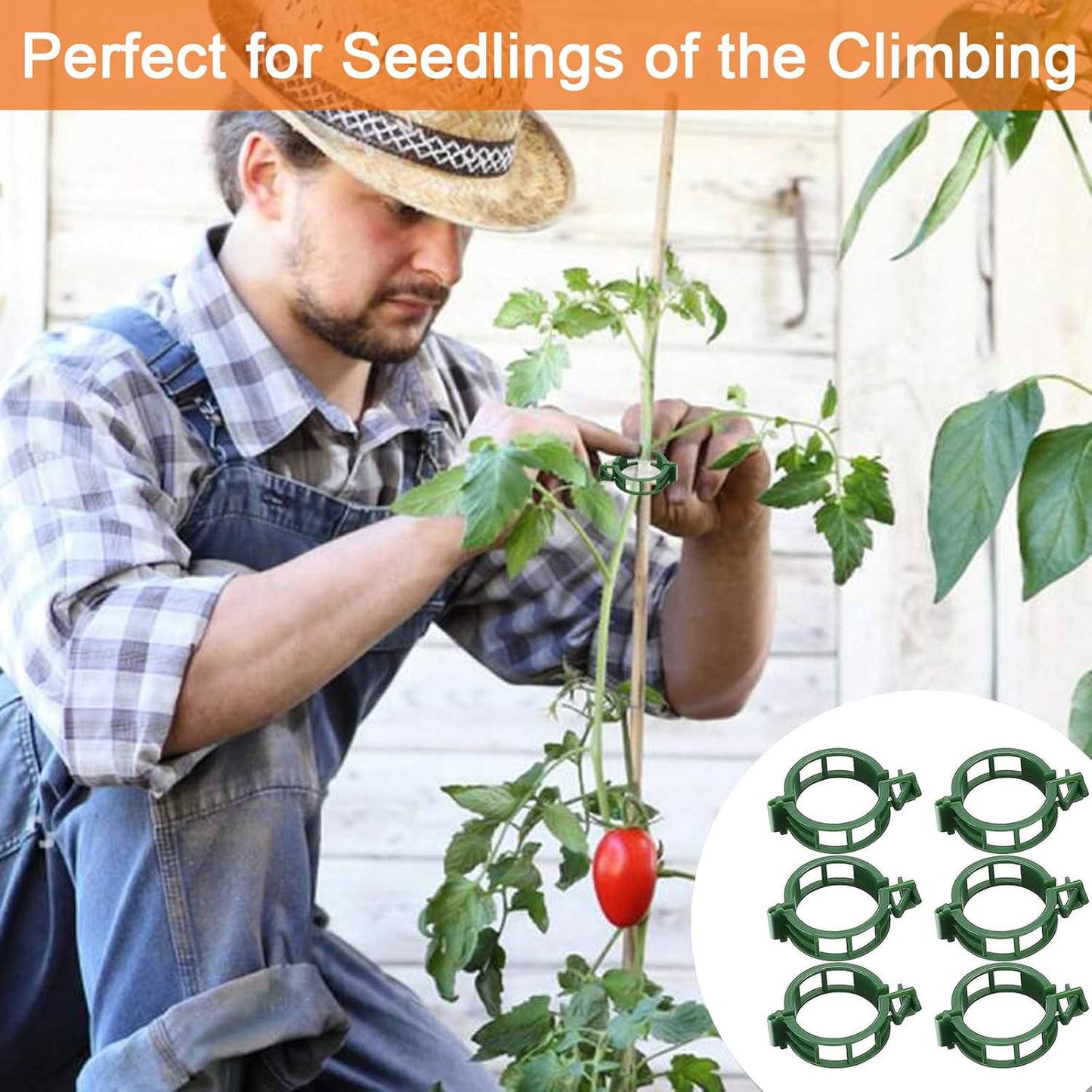 Tomato Clips for Climbing Plants, 300 Pcs Reusable Plastic Tomato Plant Clips for Climbing Plants,Tomato V1259-DP01-A-3395