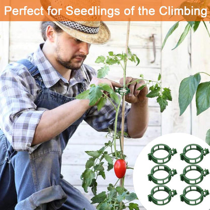 Tomato Clips for Climbing Plants, 300 Pcs Reusable Plastic Tomato Plant Clips for Climbing Plants,Tomato V1259-DP01-A-3395