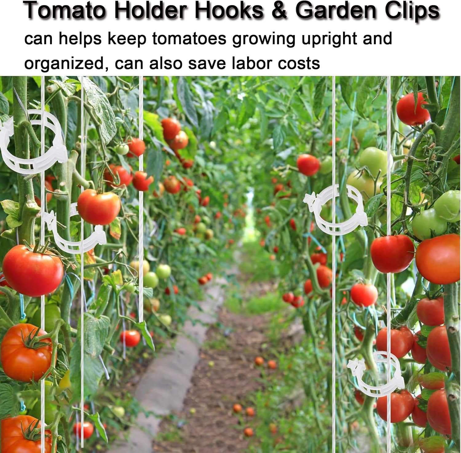 Tomato Clips for Climbing Plants, 300 Pcs Reusable Plastic Tomato Plant Clips for Climbing Plants,Tomato V1259-DP01-A-3395