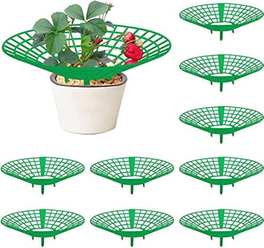 10 Pack Strawberry Plant Supports, Strawberry Plant Stand with 3 Sturdy Legs, Strawberry Growing Racks, V1259-DP01-A-3436