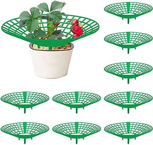 10 Pack Strawberry Plant Supports, Strawberry Plant Stand with 3 Sturdy Legs, Strawberry Growing Racks, V1259-DP01-A-3436